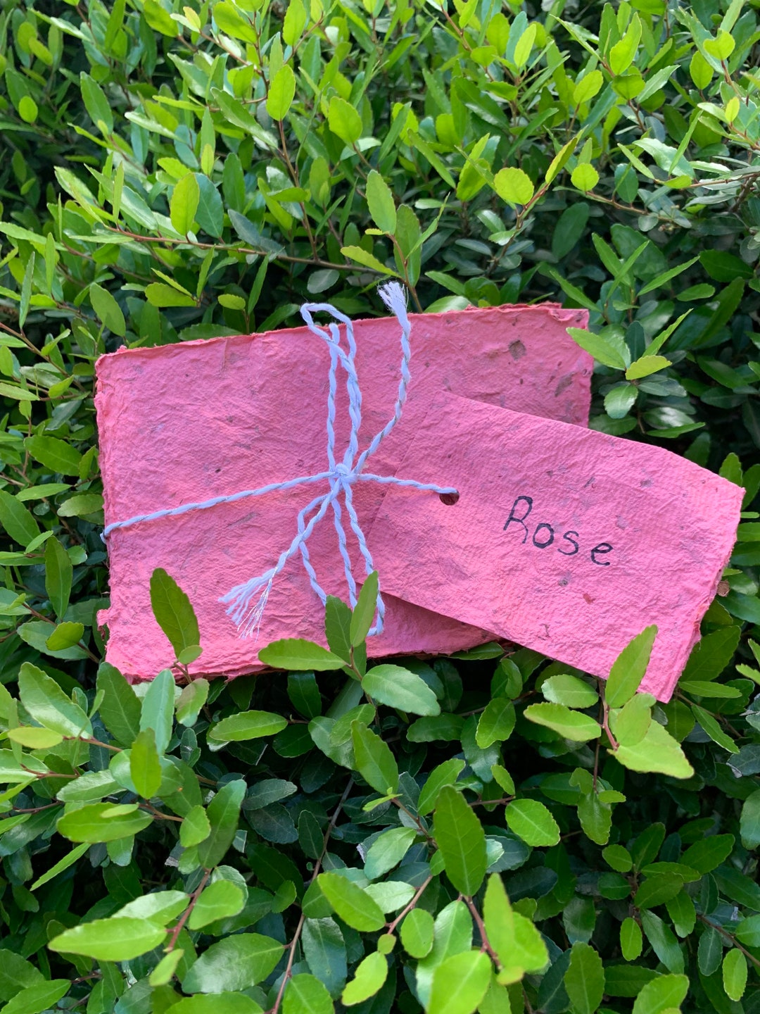 Rose Recycled Paper, Upcycled Paper With Real Roses, Pink 5x7 Paper for