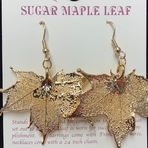 Echtes Blatt Schmuck, Gold getaucht Blatt Ohrringe Französische Ohrdrähte, Gold Blatt Schmuck Blätter aus Mutter Natur, Natur Blätter, Zuckerahornblatt