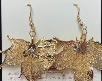 Echtes Blatt Schmuck, Gold getaucht Blatt Ohrringe Französische Ohrdrähte, Gold Blatt Schmuck Blätter aus Mutter Natur, Natur Blätter, Zuckerahornblatt