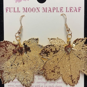 Echtes Blatt Schmuck, Gold getaucht Blatt Ohrringe Französisch Ohrhaken Gold Blatt Schmuck Blätter von Mutter Natur Naturen Blätter, Vollmond Ahornblatt
