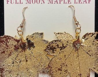 Real leaf Jewelry,Gold Dipped Leaf Earrings French Ear Wires Gold Leaf Jewelry Leaves From Mother Nature Natures Leaves,Full Moon Maple Leaf