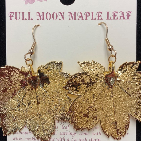 Real leaf Jewelry,Gold Dipped Leaf Earrings French Ear Wires Gold Leaf Jewelry Leaves From Mother Nature Natures Leaves,Full Moon Maple Leaf