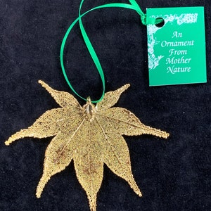 Echte japanische Ahorn Blatt Ornament in 24k Gold getaucht Ornament Blatt echtes Laubblatt Ahorn Blatt