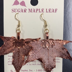 Echtes Blatt Schmuck Kupfer getaucht Blatt Ohrringe Französische Ohrhaken Schillernde Blätter Blätter von Mutter Natur Naturen Blätter Zuckerahornblatt
