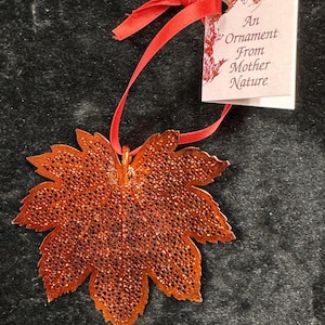 Puede incluir: Adorno en forma de hoja de color cobre, con intrincados detalles calados. Cuelga de una cinta roja y tiene una etiqueta que dice "An Ornament From Mother Nature". El adorno es probablemente para decoración de temporada o temática natural.