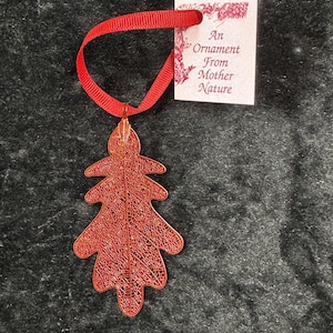 Può includere: Un ornamento rosso a forma di foglia con dettagli intricati, sospeso da un nastro rosso abbinato. Un piccolo cartellino recita "An Ornament From Mother Nature". Adatto per decorazioni stagionali.