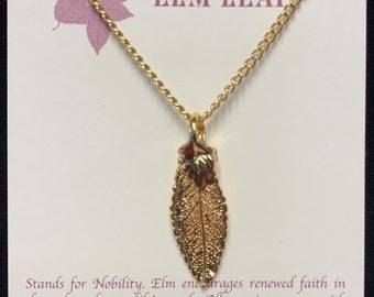 Real leaf necklace ,Gold Dipped Leaf Necklace, Gold Leaf Jewelry, Gold Leaves, Leaves From Mother Nature, Natures Leaves, Elm Leaf