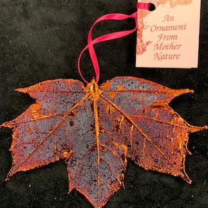 Real Sugar Maple Leaf Ornaments Dipped In Iridescent Copper Real Dipped Leaves Christmas Ornaments Iridescent Leaf Ornaments Sugar Maple eaf