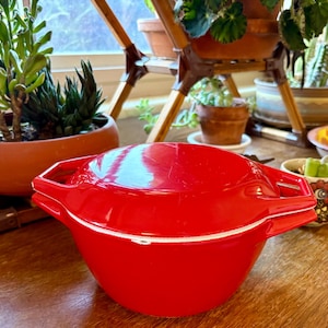 May include: A bright red, lidded serving bowl with a white rim and handles. The bowl is sitting on a wooden surface, with various potted plants in the background.