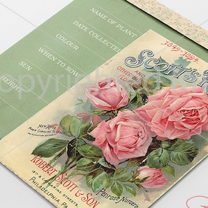 6 diferentes pacotes de sementes de rosas de jardim antigas, folha DIGITAL, pacote de sementes vintage, arte de pátio, galpão de jardim rústico, papel efêmero botânico DIY
