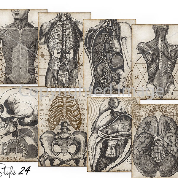 8 Anatomy ATC vintage printable Esoteric craft art paper Human Body crafting scrapbook embellishment instant download digital collage sheet