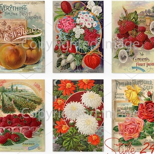6 diferentes pacotes de sementes mistas de jardim antigo #2, folha DIGITAL, pacote de sementes vintage, arte de pátio, galpão de jardim rústico, rosas efêmeras botânicas