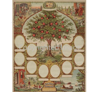Vintage Family Record Picture - Family Tree diy - Genealogy Heritage - Victorian Antique Art Print -ephemera digital collage sheet Americana