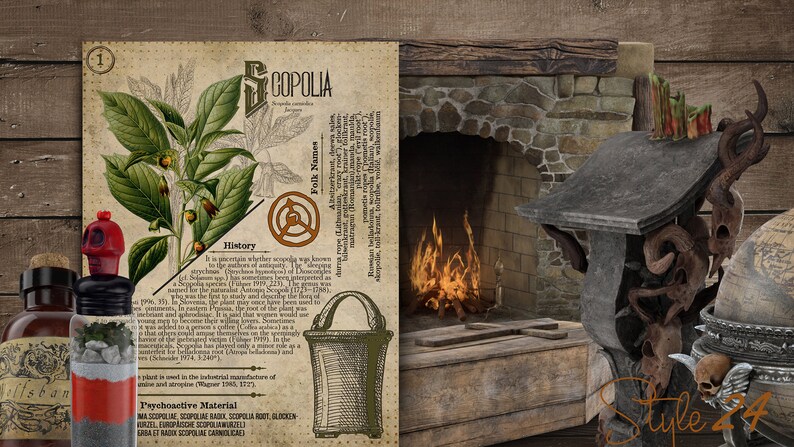 May include: A vintage botanical illustration of Scopolia, a poisonous plant, with a detailed description of its history, folk names, and psychoactive material. The image is set against a rustic wooden background with a fireplace and other decorative elements.