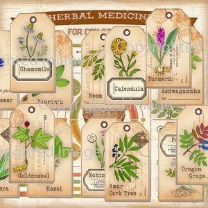 Etiquetas de boticário de ervas medicinais com informações gráficas para impressão Etiquetas de medicamentos Etiquetas Membrana Conjuntiva download instantâneo para impressão digital