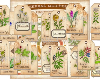 Medicinal Herbal Apothecary Labels with Info-graphic printable Medicines Labels Tags Membrana Conjunctiva instant download printable digital