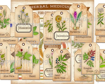 Herbal Apothecary Labels Herbal Labels Herbs Jar Labels - Etsy