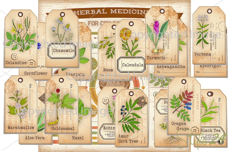 Medicinal Herbal Apothecary Labels with Info-graphic printable | Etsy