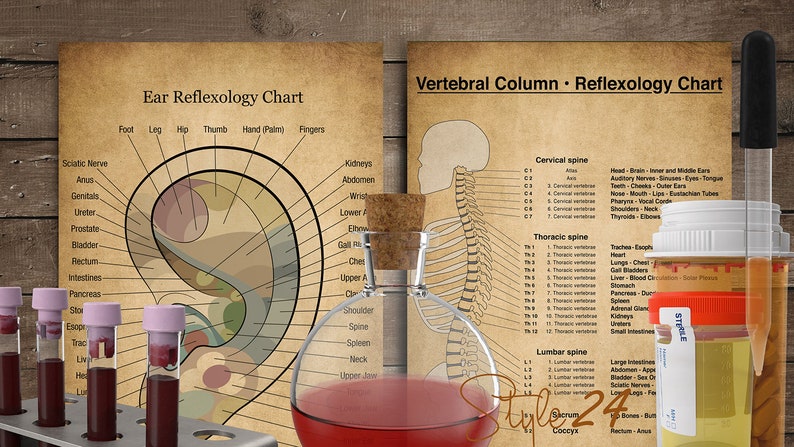 Puede incluir: Dos gr&aacute;ficos de estilo vintage que muestran los puntos de reflexolog&iacute;a del o&iacute;do y la columna vertebral. Los gr&aacute;ficos est&aacute;n impresos en papel envejecido con un fondo marr&oacute;n. El gr&aacute;fico del o&iacute;do muestra un diagrama detallado del o&iacute;do con las partes del cuerpo correspondientes etiquetadas. El gr&aacute;fico de la columna vertebral muestra un diagrama esquel&eacute;tico de la columna vertebral con las partes del cuerpo correspondientes etiquetadas. Los gr&aacute;ficos est&aacute;n rodeados de varios suministros m&eacute;dicos, incluidos tubos de ensayo, una botella de vidrio y un gotero.