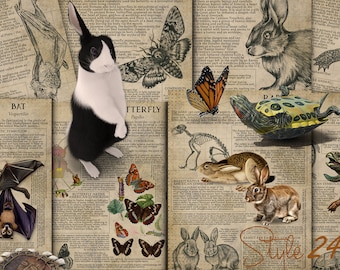 Animal Symbology Print #8, Spirit Totem Guide (Digital Download)