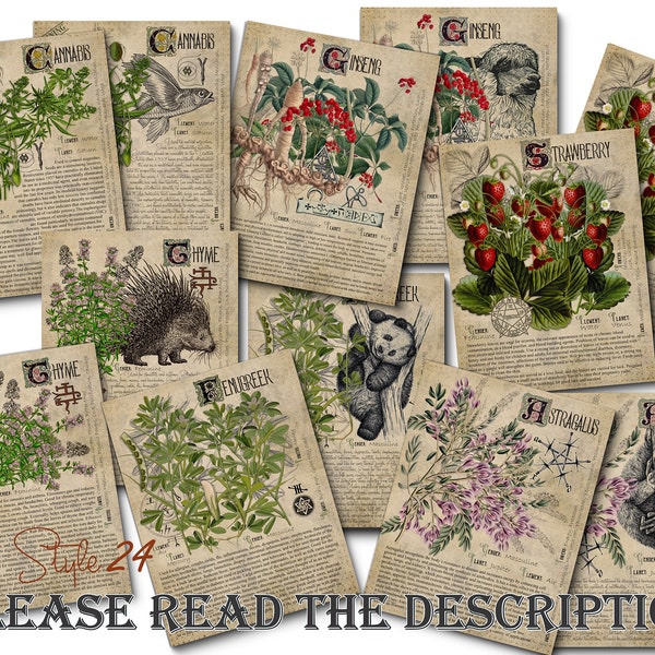 Grimoire Herbal Pages No.11, Witchcraft, Printable Book of Shadows, BOS, Digital Download of Plants, Spell, Herb Profiles, Green Witch