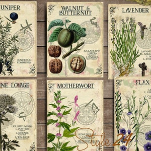 Vol 3 Herbal Index, Double Sided Scrapbook Ephemera 3x4 Journaling Cards, Digital Collage,printable Apothecary, Medicinal Herbal, Herbarium image 4