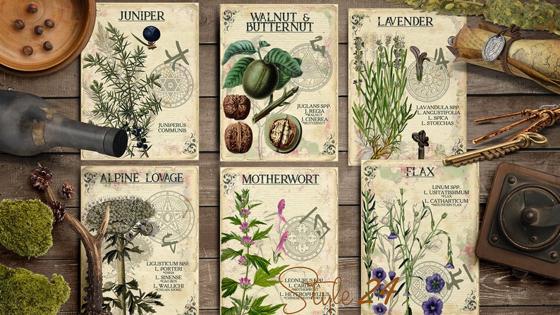 Vol 3 Herbal Index, Double Sided Scrapbook Ephemera 3x4 Journaling Cards, Digital Collage,printable Apothecary, Medicinal Herbal, Herbarium image 4