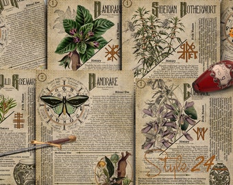 Poisonous Plants No.11 Book of Shadows Printable Pages, Grimoire Herbs (Digital Download)