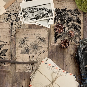 Big Bundle ! 84 Antique Botanical Garden Herbal Apothecary PART 2 (B-C) Scrapbook Digital Collage 3" x 4 Journaling Cards printable Vintage