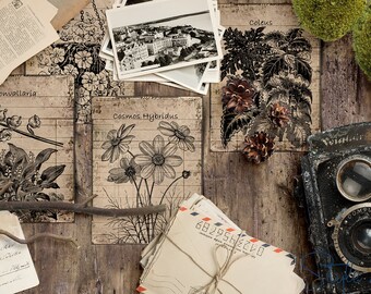 84 Antique Botanical Cards No.2, Herbal Apothecary Digital Collage (PDF)