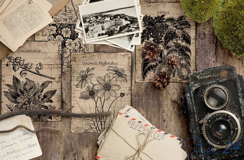 May include: Vintage botanical illustrations of Convallaria, Cosmos Hybridus, and Coleus plants on a wood background with an old camera, letters, and a twig.