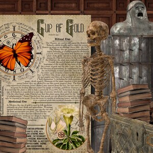 May include: A vintage, illustrated book with the title "Cup of Gold" and text about a ritual and medicinal uses. The book is surrounded by stacks of books, a skeleton, a metal chest, and a candle.
