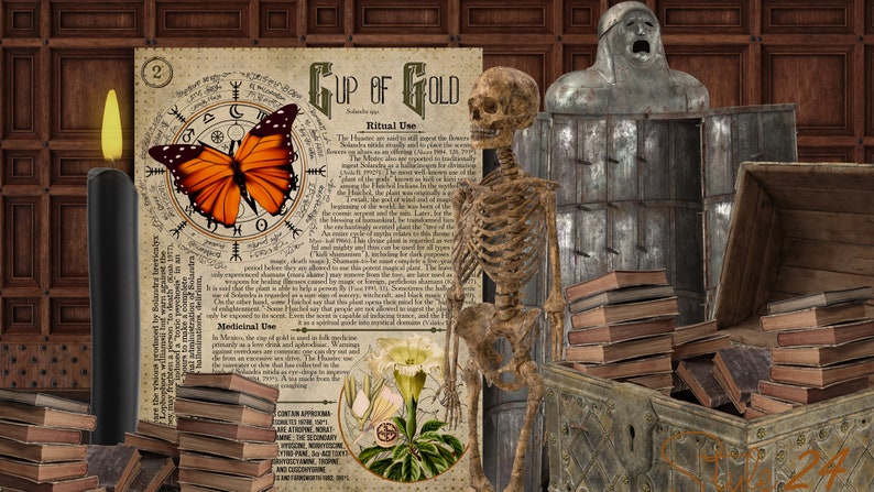 May include: A vintage, illustrated book with the title "Cup of Gold" and text about a ritual and medicinal uses. The book is surrounded by stacks of books, a skeleton, a metal chest, and a candle.