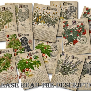 Grimoire Herbal Pages No.10, Witchcraft, Printable, Book of Shadows, BOS, Digital Download of Plants, Spell, Herb Profiles, Green Witch