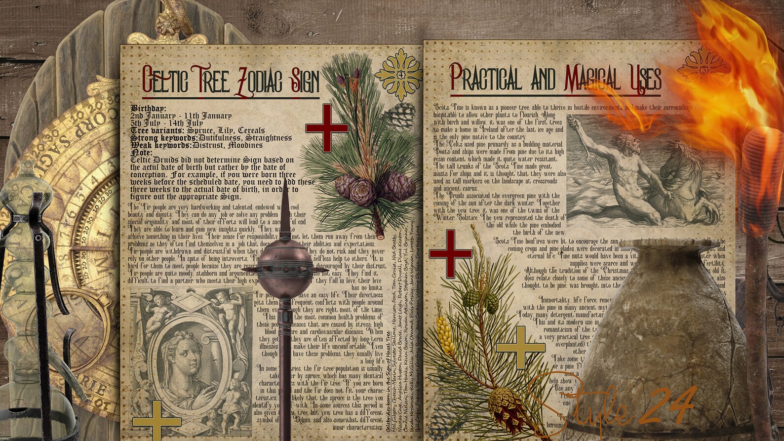 Pine or Fir The Druids calendar horoscope Printable Book Etsy