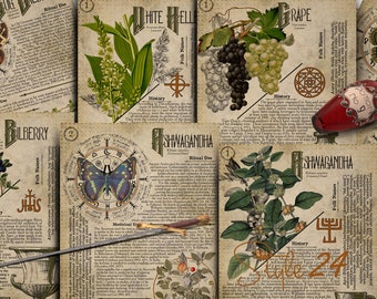 Poisonous Plants Book of Shadows Printable Pages #17, Witchcraft Grimoire (Digital Download)