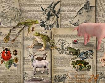 Printable Animal Symbiology 10, Book of Shadows - Spirit Animal, Totem Animal, Power Animal, Celtic Symbolism, Mythology, Folklore, BOS