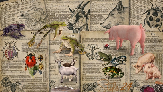 Printable Animal Symbiology 10, Book of Shadows - Spirit Animal, Totem Animal, Power Animal, Celtic Symbolism, Mythology, Folklore, BOS