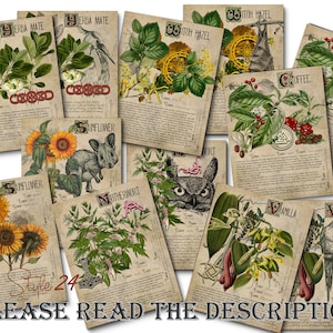Grimoire Herbal Pages No.7, Witchcraft, Printable Book of Shadows, BOS, Digital Download of Plants, Spell Ingredient, Green Witch