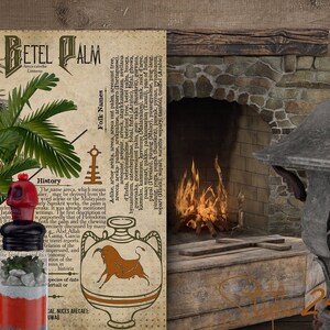 May include: A vintage illustration of a Betel Palm tree with text about its history and folk names. Three glass bottles with labels and stoppers are in the foreground. A fireplace with a roaring fire is in the background. A decorative metal stand with a globe and a skull is on the right side of the image.