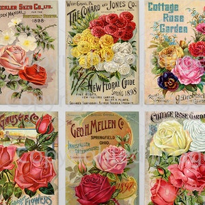 6 diferentes paquetes de semillas de rosas de jardín antiguas n.° 2, hoja DIGITAL, paquete de semillas vintage, arte de patio, cobertizo de jardín rústico, papel efímero botánico