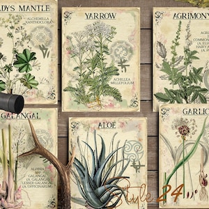 Vol 1 Herbal Index, Double Sided Scrapbook Ephemera 3x4 Journaling Cards, Digital Collage,printable Apothecary, Medicinal Herbal, Herbarium image 4