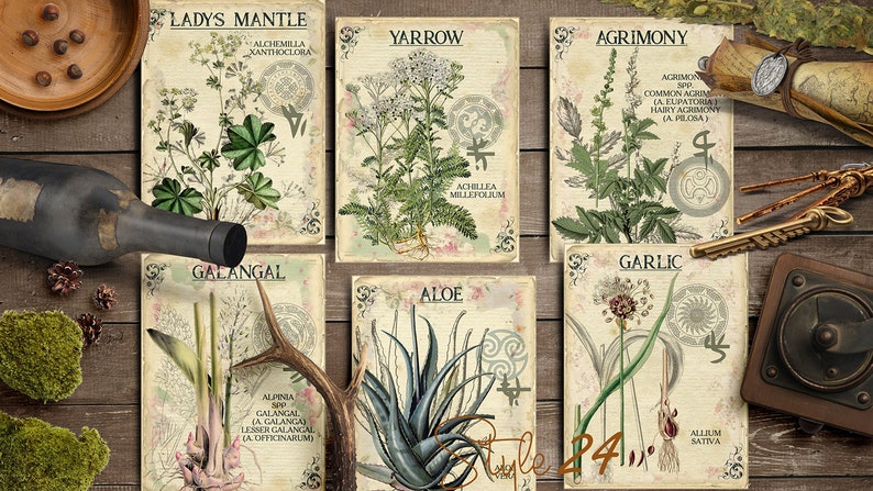 Vol 1 Herbal Index, Double Sided Scrapbook Ephemera 3x4 Journaling Cards, Digital Collage,printable Apothecary, Medicinal Herbal, Herbarium image 4