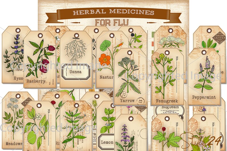 Medicinal Herbal Apothecary Labels With Infographic Printable Etsy