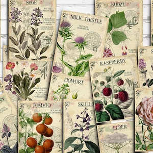 Vol 5 kruidenindex, dubbelzijdig plakboek Ephemera 3 x 4 logboekkaarten, digitale collage, afdrukbare apotheek, geneeskrachtige kruiden, herbarium