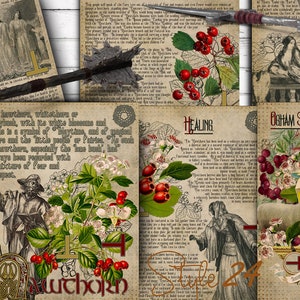 Puede incluir: Una ilustraci&oacute;n de estilo vintage de un &aacute;rbol de espino blanco con bayas rojas y flores blancas. La imagen incluye texto sobre la tradici&oacute;n del &aacute;rbol, sus propiedades curativas y el significado de la adivinaci&oacute;n Ogham. El texto incluye las palabras "Espino blanco", "Tradici&oacute;n del &aacute;rbol", "Curaci&oacute;n" y "Significado de la adivinaci&oacute;n Ogham".