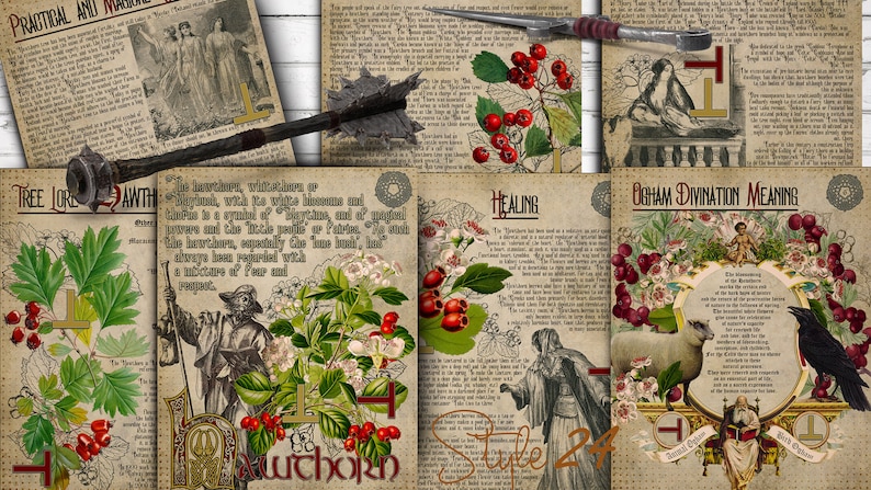 Puede incluir: Una ilustraci&oacute;n de estilo vintage de un &aacute;rbol de espino blanco con bayas rojas y flores blancas. La imagen incluye texto sobre la tradici&oacute;n del &aacute;rbol, sus propiedades curativas y el significado de la adivinaci&oacute;n Ogham. El texto incluye las palabras "Espino blanco", "Tradici&oacute;n del &aacute;rbol", "Curaci&oacute;n" y "Significado de la adivinaci&oacute;n Ogham".