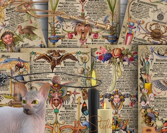 May include: A collection of vintage-style illustrated cards with text about candle magic. The cards feature various illustrations, including a bird, a crab, a flower, and a skull. The cards are arranged in a collage with a cat in the foreground.
