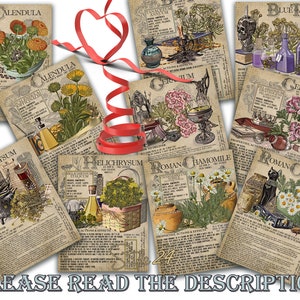 May include: Nine vintage style botanical illustrations with text describing the properties and uses of calendula, helichrysum, geranium, roman chamomile, and blue tansy.