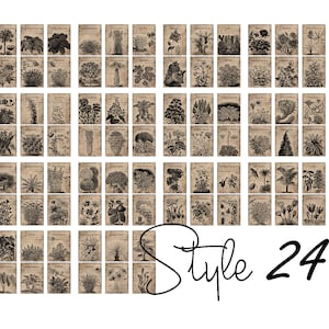May include: A collection of 48 vintage botanical illustrations, each featuring a different plant or flower. The illustrations are in black and white and have a distressed, antique look. The images are arranged in a grid pattern and are labeled with the name of the plant or flower. The text "Style 24" is written in black cursive at the bottom of the image.